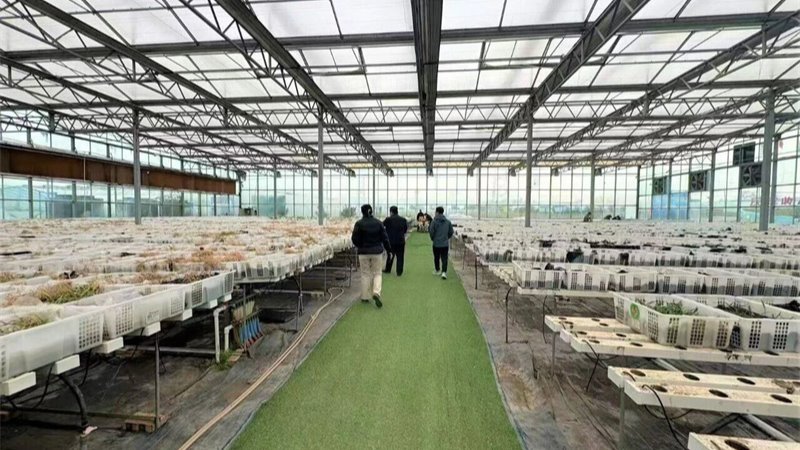 媒體關(guān)注 | 民間投資專(zhuān)項(xiàng)擔(dān)保政策在甘肅進(jìn)入實(shí)質(zhì)推進(jìn)階段